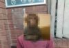 Centurion Residents Frustrated as Cable Theft Persists Despite Arrest