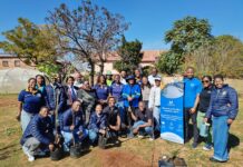 Tree-Planting Drive and Urban Farm Project Aim to Reclaim Neglected Tshwane Spaces