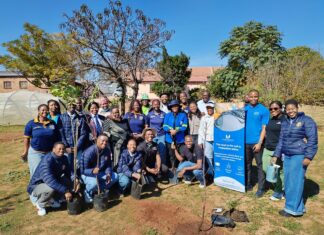 Tshwane turns dumpsites into hope through tree planting and urban farming drive