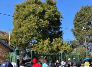 Residents Demand Action on Illegal Spaza Shops and Utility Connections in West Pretoria
