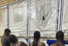 20 arrested during TMPD immigration operations in Tshwane